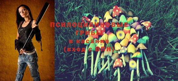 мяу мяу кристалл Бородино