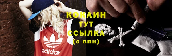 мяу мяу кристалл Бородино