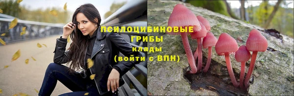 СК Бугульма