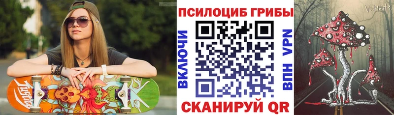 Галлюциногенные грибы Psilocybe  Купить закладки  Куртамыш 