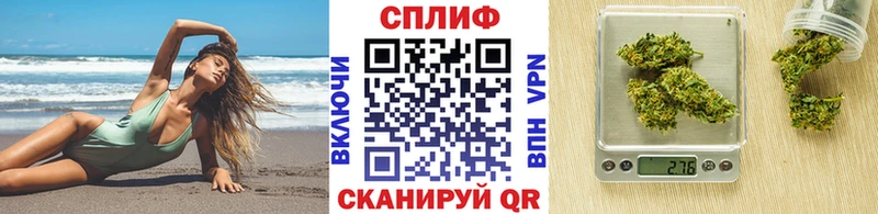 Бошки марихуана план  Купить где  Куртамыш 